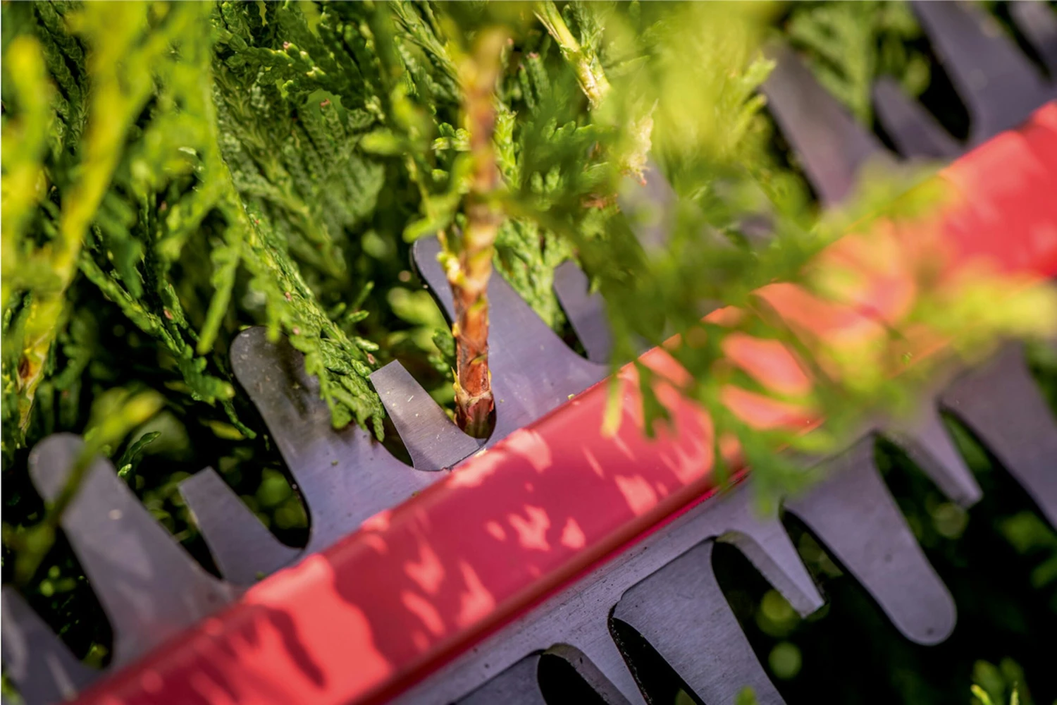 B-Ware Metabo Akku-Heckenschere HS 18 LTX 45 (601717850) 6 B-Ware Metabo Akku-Heckenschere HS 18 LTX 45 (601717850) – Bild 6