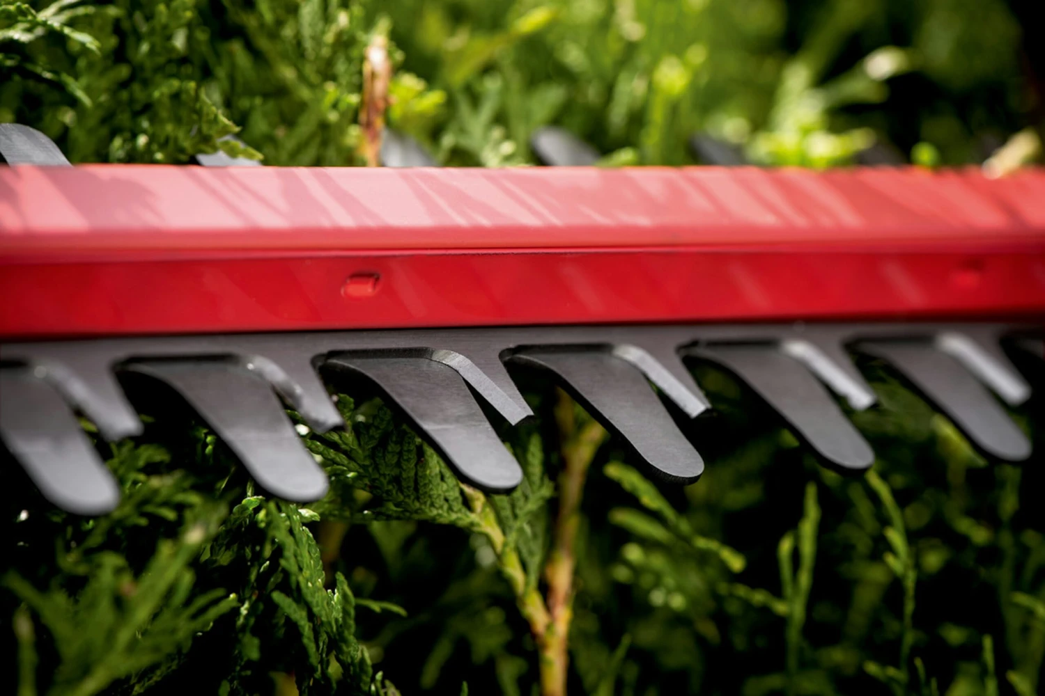 Metabo Akku-Heckenschere HS 18 LTX 55 (601718850) 13 Metabo Akku-Heckenschere HS 18 LTX 55 (601718850) – Bild 13