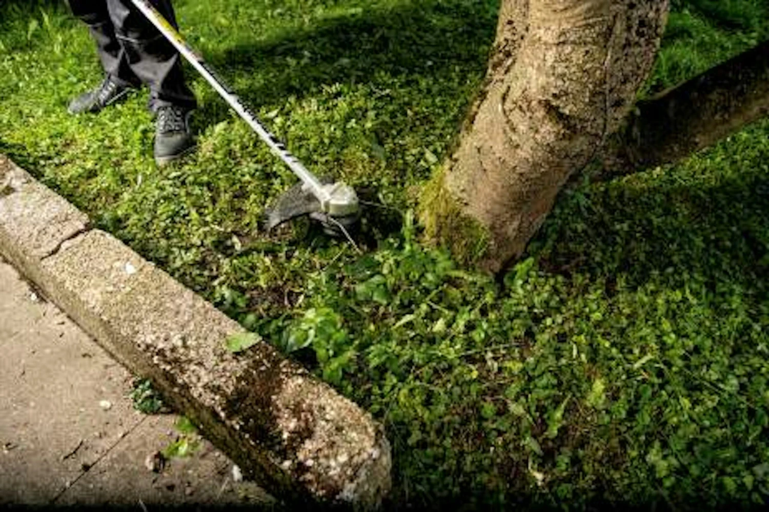 Metabo Akku-Rasentrimmer RTD 18 LTX BL 30 (601720850) 10 Metabo Akku-Rasentrimmer RTD 18 LTX BL 30 (601720850) – Bild 10