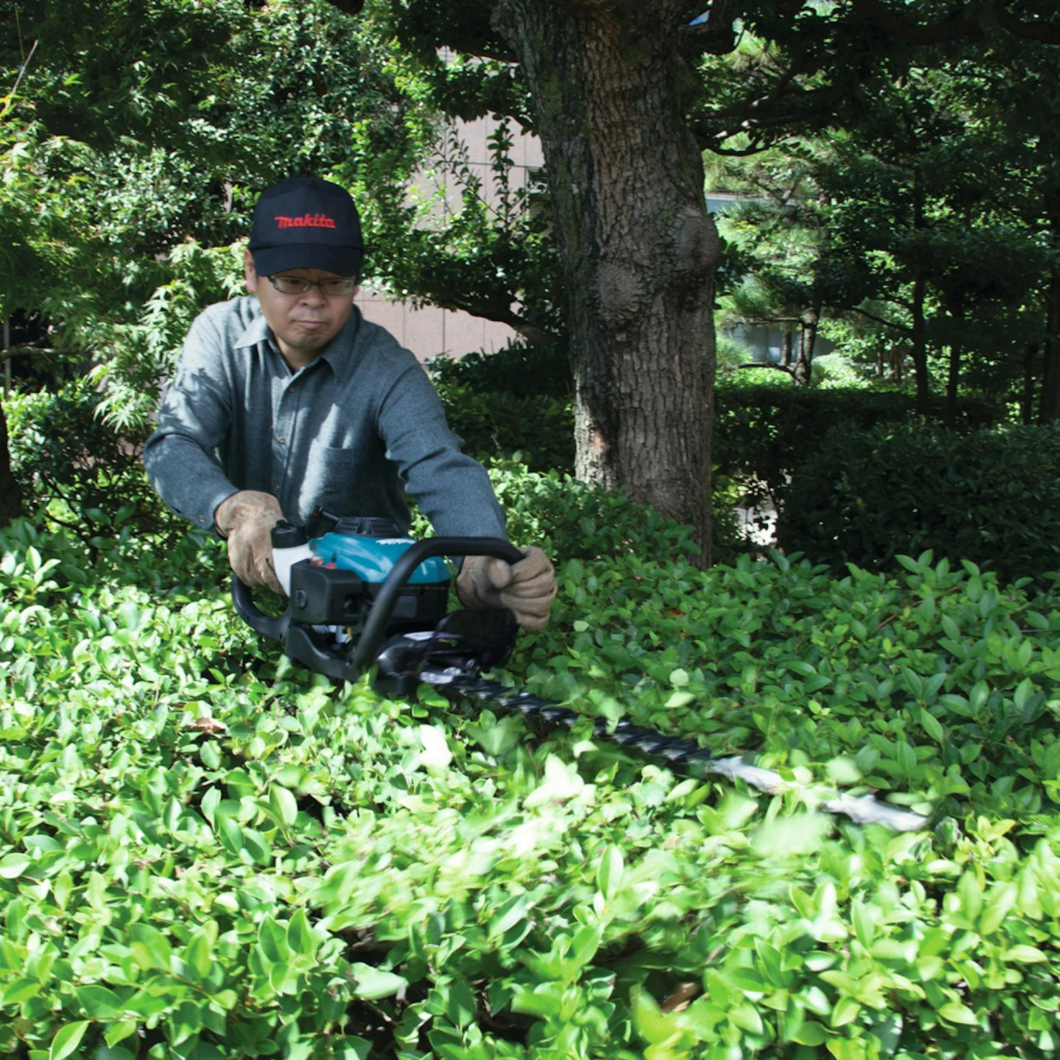 Makita Benzin-Heckenschere EH7500W 2 Makita Benzin-Heckenschere EH7500W – Bild 2