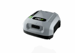 EGO Power Profi-Ladegerät CHX5500E