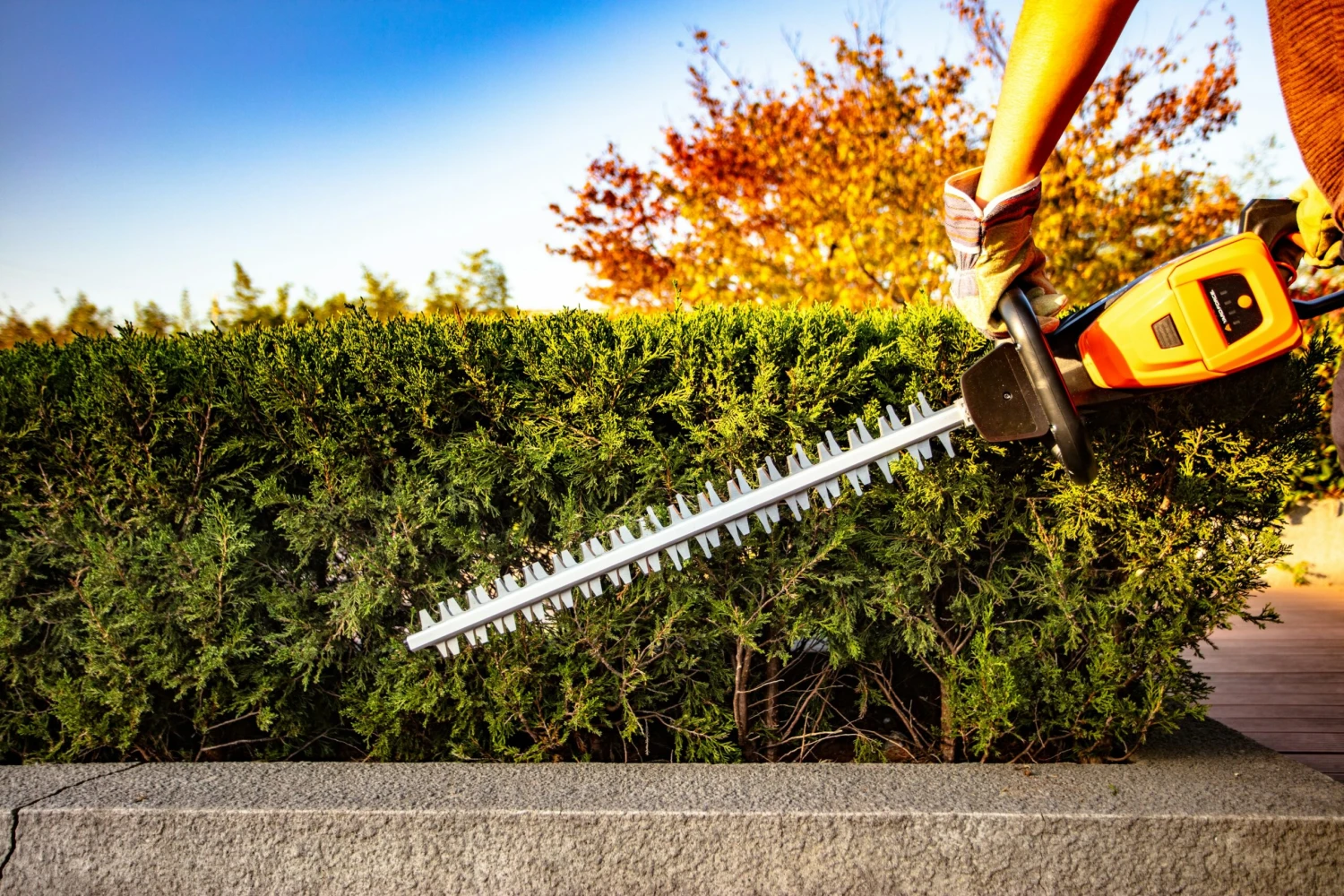 Yardforce LH G60W - Akku-Heckenschere 40V 2 Yardforce LH G60W - Akku-Heckenschere 40V – Bild 2